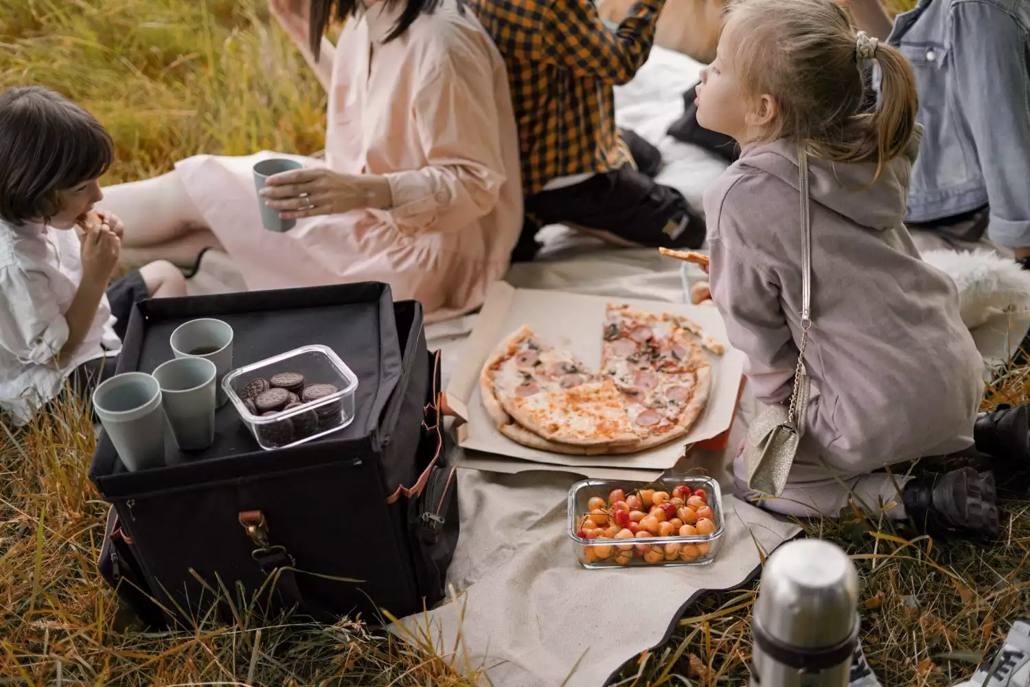 rollup picnic blanket