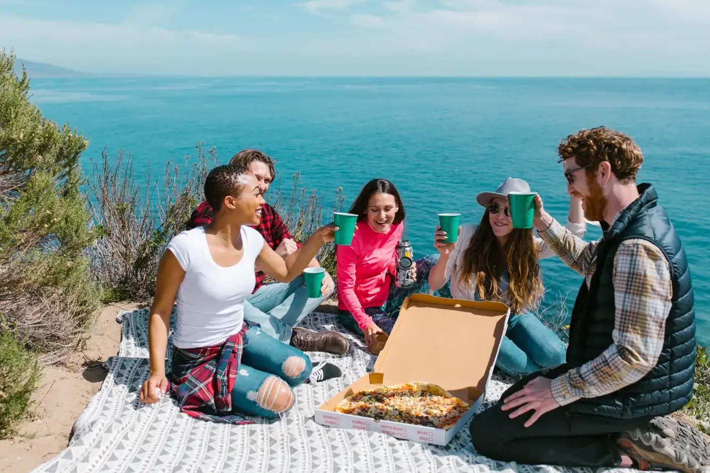 park picnic blanket