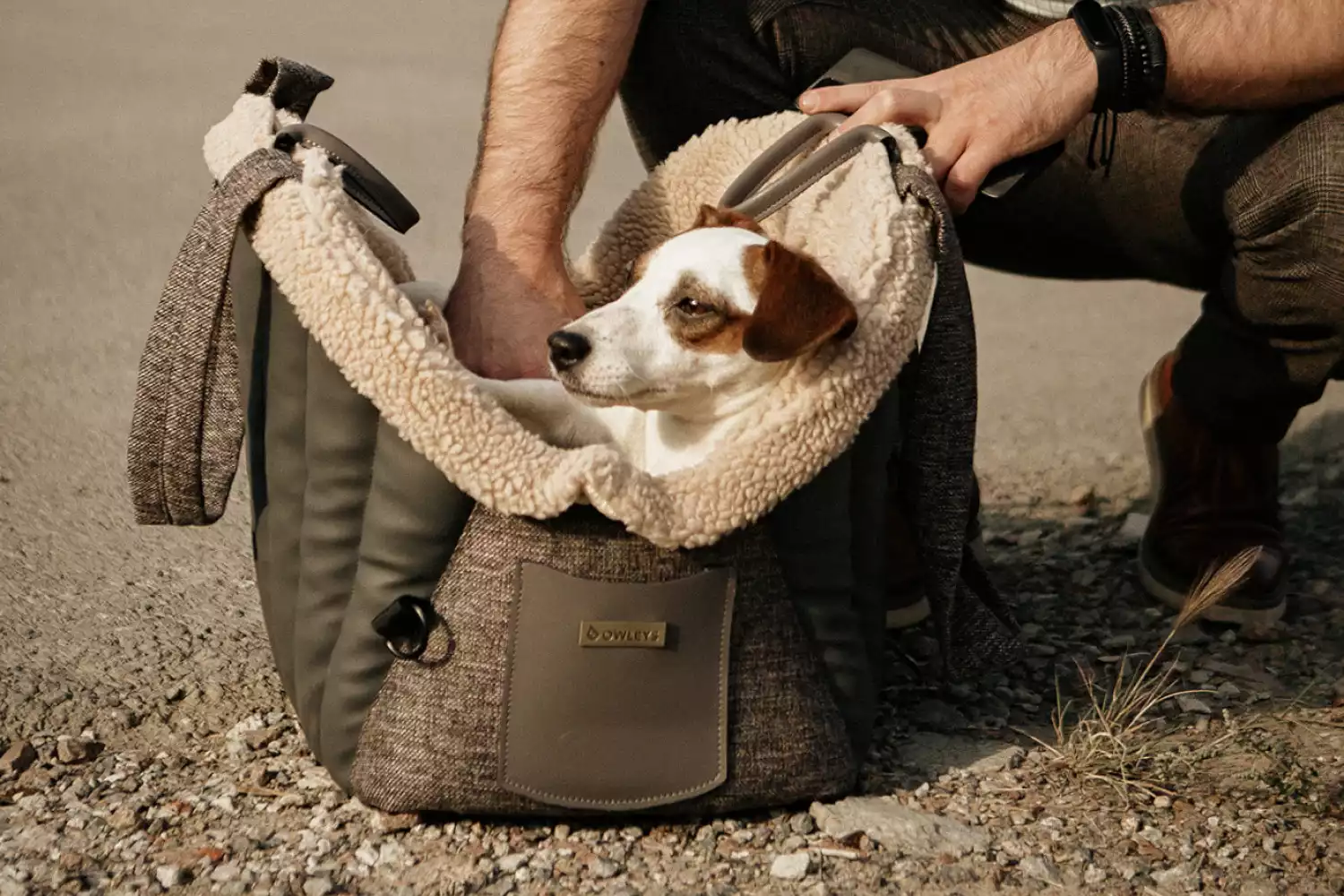 Dog Carrier Purse for Miniature Pinscher