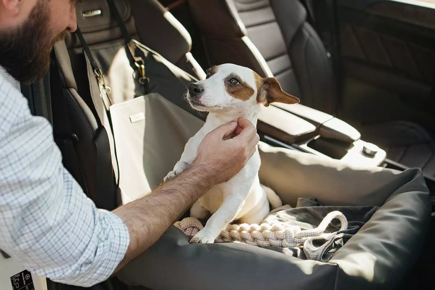 Audi Q5 Dog Car Seat for Shetland Sheepdogs