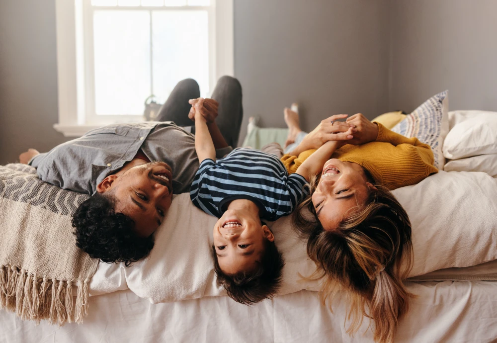 smart bed sofa